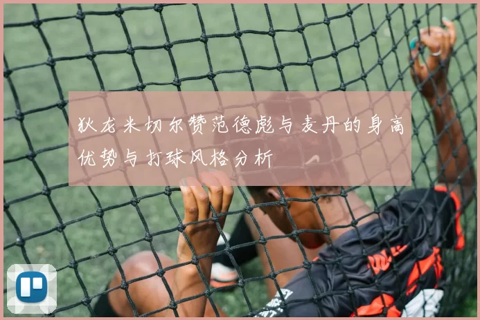 狄龙米切尔赞范德彪与麦丹的身高优势与打球风格分析